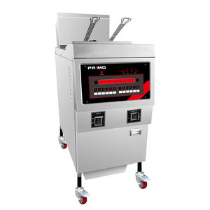 Commercial Electric & Gas open fryer