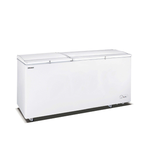 commercial deep freezer for sale