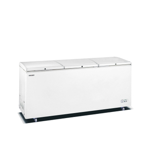 best commercial chest freezer