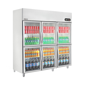 commercial standing freezer