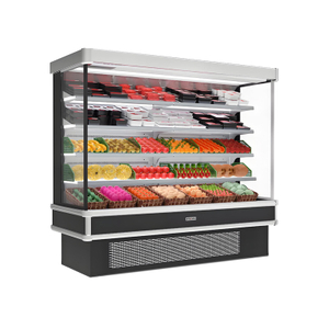 display chiller 2 door