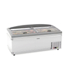 supermarket island freezer